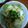 elwing 的 泰式檸檬蒸魚(簡單料理) cooksnap