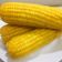 Cooksnap Nor Zahida Aini semasa beliau membuat Jagung Rebus.