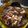 Cooksnap dari Azimuth Matahari untuk resep Cumi asin saos padang