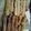 El cooksnap de Mauro Damiani cuando hizo Churros.
