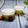 รูป Cooksnap ของ Rak Chantang เมื่อเขาทำ เต้าฮวยชาเขียวนมสด