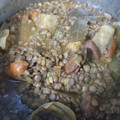 El cooksnap de Denise Nd Ok cuando hizo Lentejas.