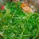 Cooksnap dari Eki Mayantari Sutikno untuk resep Sayur asem ndeso (kampung)
