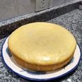 El cooksnap de Nadina cuando hizo Torta de limón con glasé.