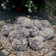 Cooksnap dari deeja untuk resep Klepon Ubi Ungu