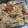 Cooksnap dari lis untuk resep Oseng Tauge Teri