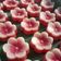 Cooksnap dari Ika Murtini untuk resep Kue lapis tepung beras