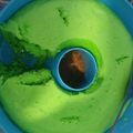 Cooksnap dari Rena nevada untuk resep Bolu kukus pandan lembut simple (takaran sendok)