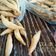 Cooksnap dari Dapoer sriwidi untuk resep Stick Ubi Keju 🧀 🍃