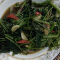 Cooksnap dari Dhani Andhika untuk resep Tumis kangkung saus tiram