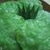 Cooksnap dari Ibun fa untuk resep Kue cucur pandan #pr_kuetradisionalberserat
