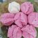 Cooksnap dari Eni Nuri Laili untuk resep Kue apem tape (mekar)