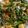 Cooksnap dari tubagus untuk resep Tumis Kangkung Campur