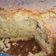 El cooksnap de isma cuando hizo Torta de banana (licuada).