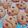 Cooksnap dari Selly Monshi untuk resep Soft baked chewy choco chip cookies