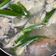 Cooksnap Nur Dhunaa AB Maleq semasa beliau membuat Singgang Ikan Tenggiri.