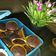 Cooksnap dari Kasmaikbal untuk resep Eggless Moist Choco Cupcakes