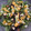 El cooksnap de Susana cuando hizo Ensalada de mango y roquefort con salsa miel/mostaza.