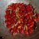 Cooksnap dari Amy Lean untuk resep Oseng Tangkil Khas Kota Serang (tumis kulit melinjo)