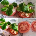 El cooksnap de carme castillo cuando hizo Tomates rellenos de queso 🍅🍽.