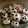 El cooksnap de Cristina Segovia cuando hizo Galletas de avena esponjositas con pasas.
