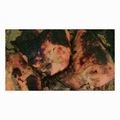 Cooksnap Emaa Zeyn semasa beliau membuat Ayam Panggang.