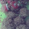 Cooksnap dari Risa Nurlatifah untuk resep Bola Tahu Rambutan