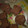 El cooksnap de Ana Cecilia cuando hizo Galletitas de chocolate sin gluten.