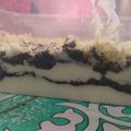 Cooksnap dari euis julaiha untuk resep 24. Oreo Cheesecake in Jar