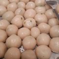 Cooksnap dari Ayudara Yuliandini untuk resep Cilok kuah merah