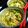 Cooksnap dari Wilsa Pratiwi untuk resep Steamed Misoa (mpasi 1y +)