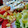 El cooksnap de Cook_and_Jud cuando hizo Ensalada de hélices de lenteja con salsa de queso fresco batido y mostaza.