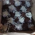 Cooksnap dari Chamelia Ula Mimahabbah untuk resep Brownies panggang chocolatos 2 telur