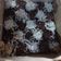 Cooksnap dari Chamelia Ula Mimahabbah untuk resep Brownies panggang chocolatos 2 telur