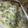 Cooksnap dari roza uzlifa untuk resep Sayur Bobor Daun Singkong Bumbu Kencur