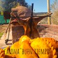 El cooksnap de Vanii Martínez cuando hizo Empanadas de carne fritas.