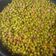 El cooksnap de luciasilva904 cuando hizo Guisantes con jamón y chorizo.