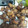 El cooksnap de Irene Payet Andreu cuando hizo Buñuelos de manzana.