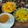 jalpa Vora's cooksnap of when they made નાયલોન પૌવા નો ચેવડો (Nylon Poha Chevdo Recipe In Gujarati).