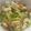 Cooksnap dari sch untuk resep Tumis Labu Siam Tempe