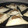 El cooksnap de Alejandra Beatriz Alameda cuando hizo Empanadas árabes con soja texturizada.