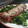 El cooksnap de ainaragonper cuando hizo Pastel de carne picada.