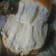 Cooksnap dari Tri Yunianti untuk resep Roti Tawar Homemade, Empuk Lembut Lentur (versi hand mixer)