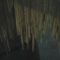 El cooksnap de Charly Xeneize cuando hizo Fideos caseros saborizados.