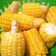 Cooksnap dari Emma Rahmawati untuk resep Jagung Rebus gurih
