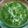 Sanchita Das's cooksnap of when they made Shahi palka paneer.