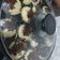 Cooksnap dari Vita Irawan untuk resep Kue Cubit