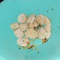 Cooksnap dari Rofiah M. untuk resep Cireng Salju Krispi Molorrrr