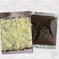 Cooksnap dari Ririn Riendra untuk resep Cake Pisang Coklat Gula Merah n Meisis Simpel Tnp Mixer
