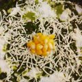 Jayshree Khakhkhar's cooksnap of when they made પાલક સ્વીટ કોર્ન સબ્જી.
